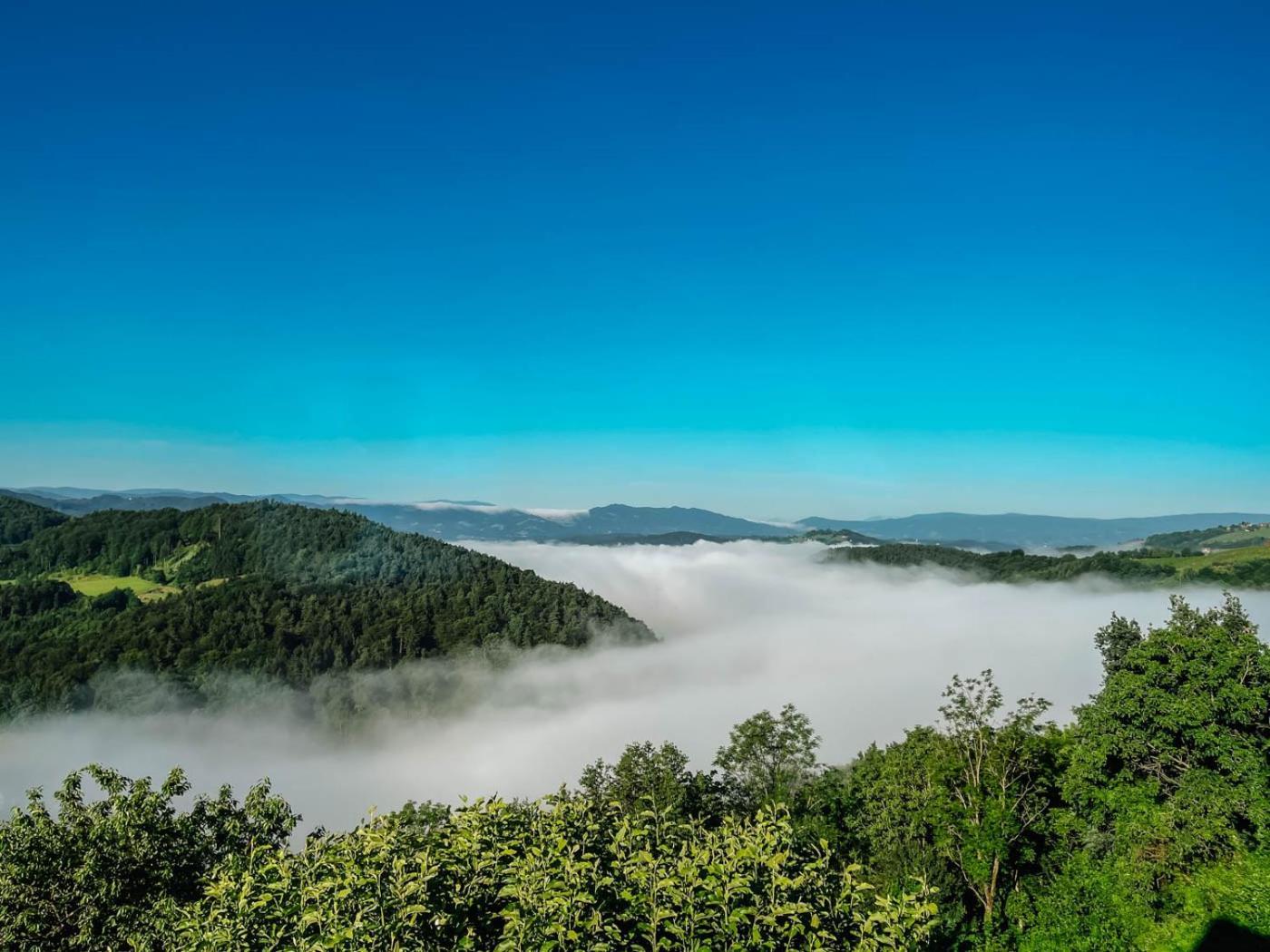 Winzerhaus Roemerstrasse คิทเซค อิม เซาซาล ภายนอก รูปภาพ